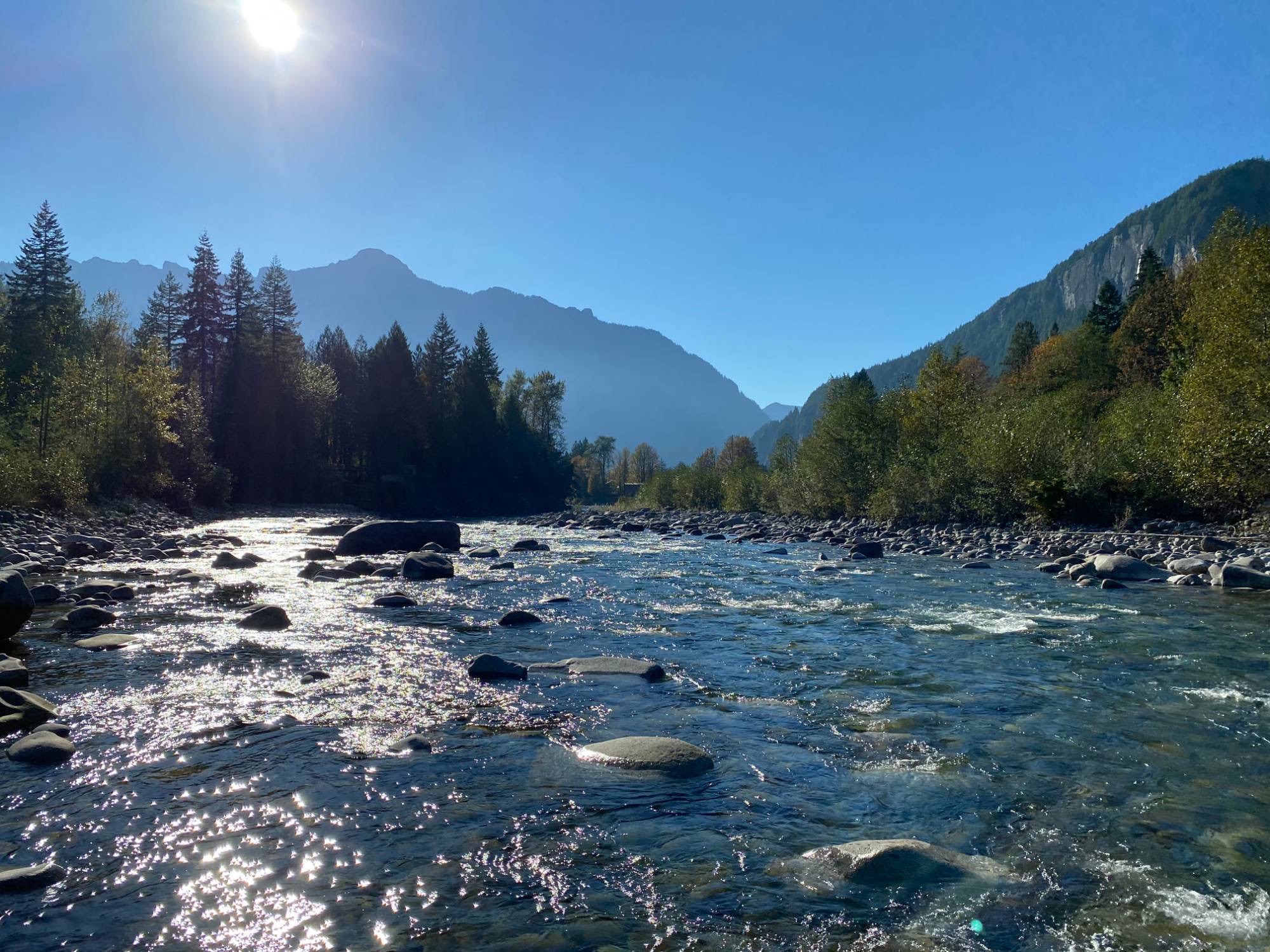 A sunlit mountain river running over stones between forested slopes
